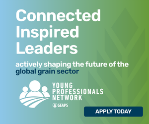 GEAPS Young Professionals Network